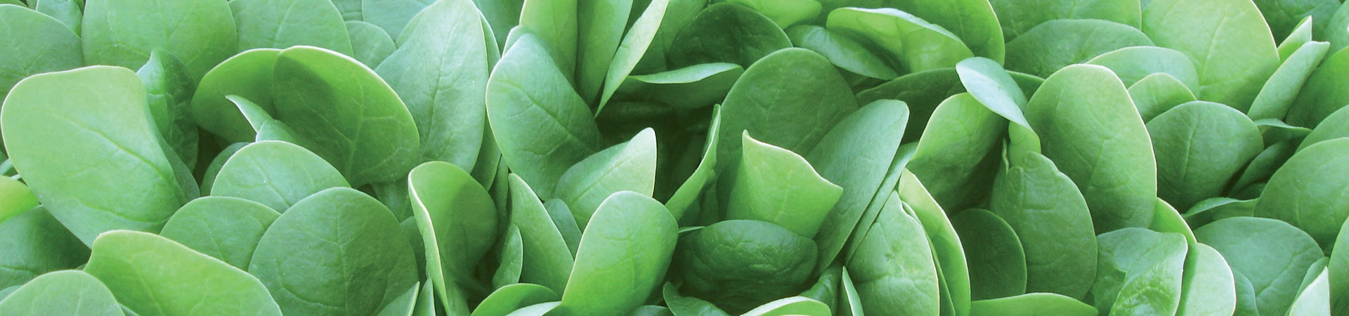 Gamme professionnels