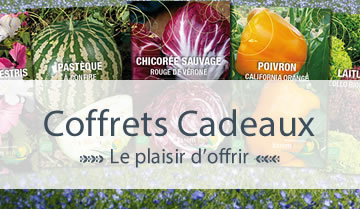 Découvrez nos coffrets cadeaux