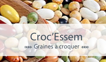 Découvrez nos graines à manger