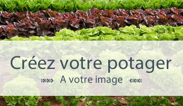 Créez votre potager